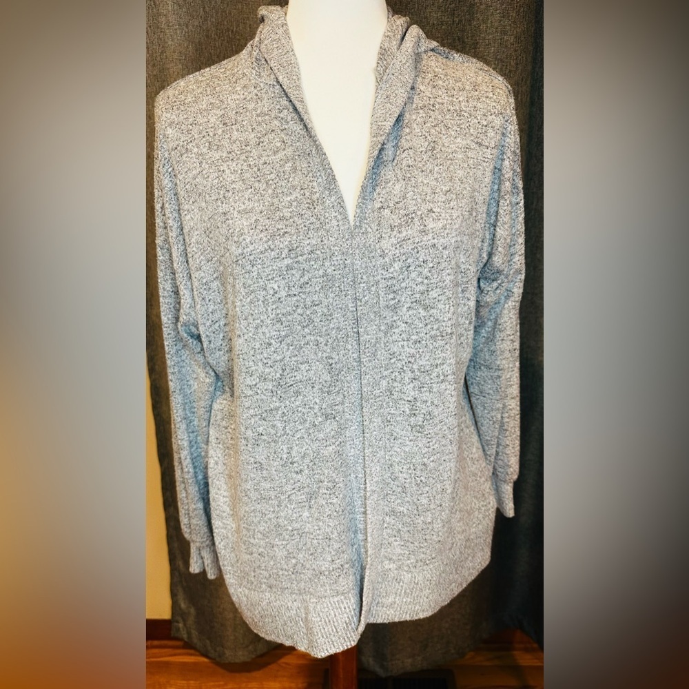 American Eagle Outfitters Gray Cardigan Sweater
